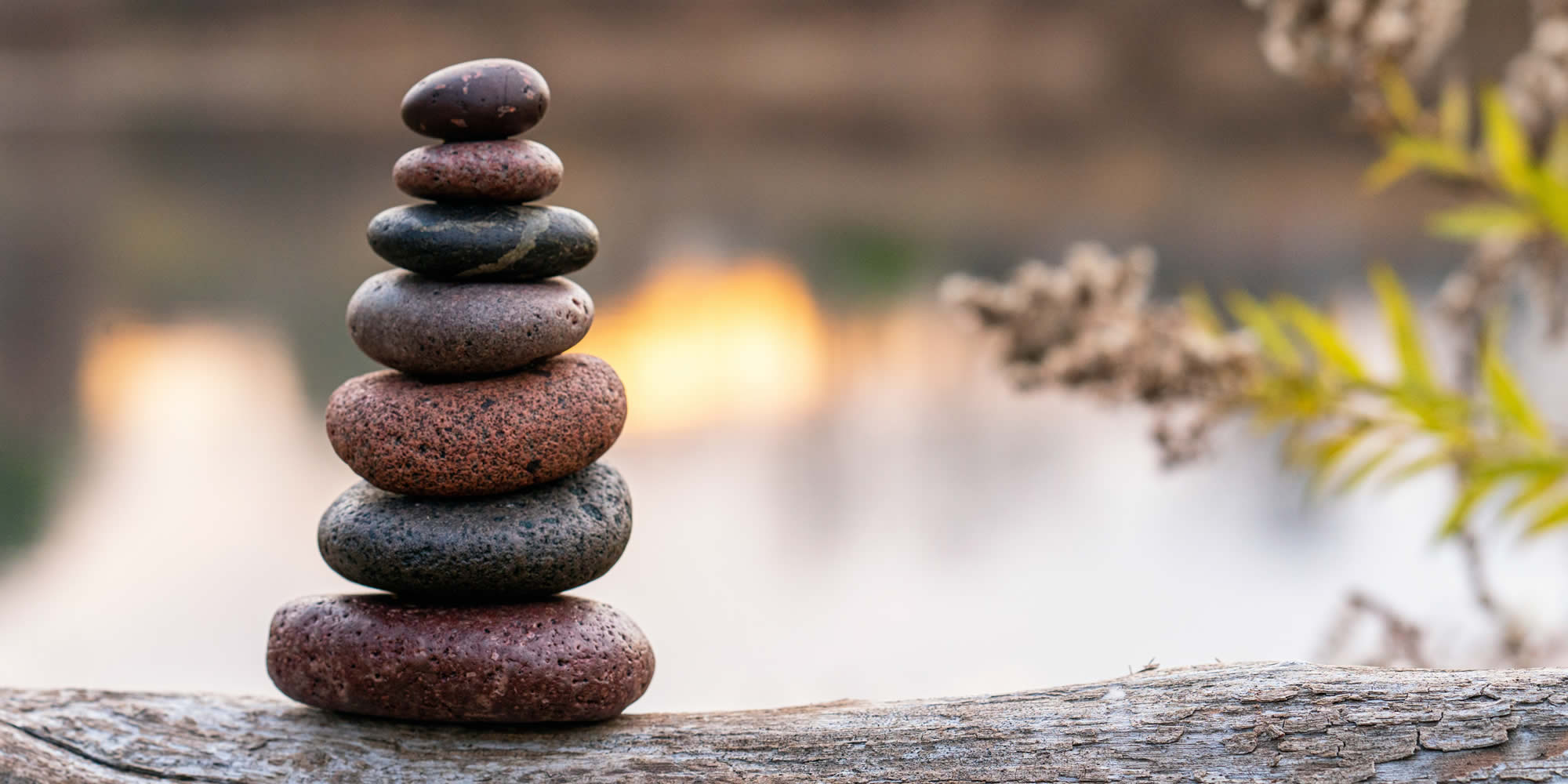 mental health improvement coaching